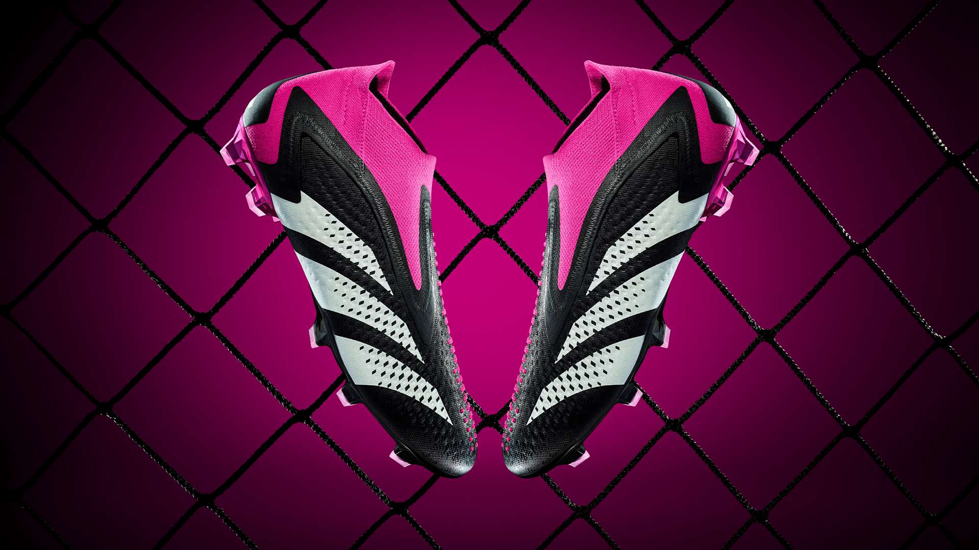 的赛事亮点 的赛事亮点